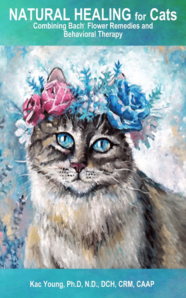 Natural Healing for Cats